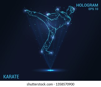 Karate hologram. Holographic projection of karate. Flickering energy flux of particles. Scientific design of karate