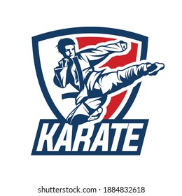 karate kick fight logo vector