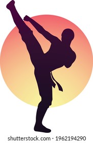 Karate kick illustration. Man doing karate in front of sunset. Man practicing martial arts. Black belt karate master exercises.