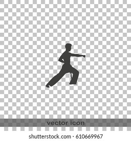 Karate kick silhouette.