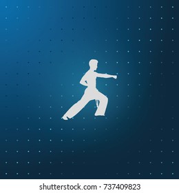 Karate kick silhouette.