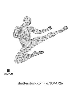 Karate and kung fu. Karate jump kick. Fighter. 3d model of man. Sport symbol. Asian martial arts. Vector illustration.