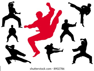 Karate kungfu a silhouette on a white background