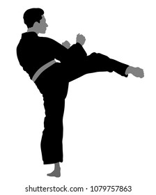 Karate man fighter in kimono, vector silhouette illustration. Black belt category. Karate man vector silhouette.