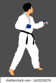 Karate man fighter in kimono vector. Japan traditional martial art. Boy self defense presentation. In healthy body healthy mind. Protect yourself against aggressor. Sport Olympic discipline.