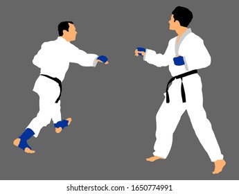 Karate Mann Kämpfer in Kimono, Vektorillustration Illustration. Judo-Kämpfer kämpfen. Japan traditionelle Kampfkunst. Selbstverteidigung. In gesunden Körper gesunden Geist.