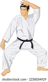 Karate Martial Arts Fighter Vector Illustration