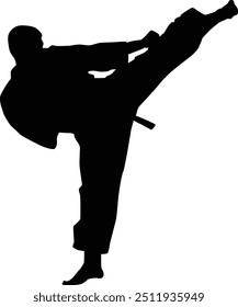 Ilustración de silueta de pose de hombres de karate