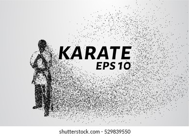 Karate of particles. consists of circles and points. Vector illustration.