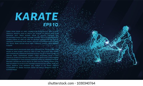 Karate of particles. The karate consists of dots and circles. Blue karate on a dark background