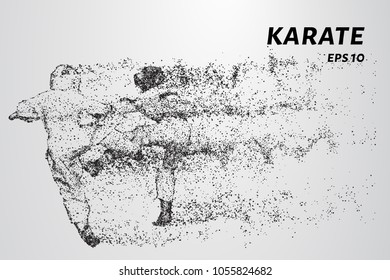 Karate of particles. Karate consists of small circles