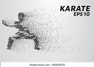 Karate of particles. Karate consists of small circles.