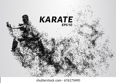 Karate of particles. Karate consists of small circles