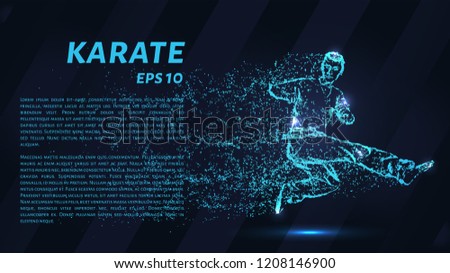 Karate of particles. Karate consists of small circles