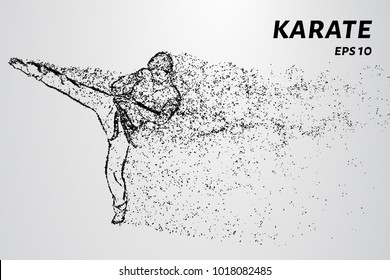 Karate of particles. Karate man in a kimono kick leg.