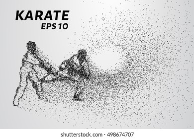 Karate of particles. Sparring karate consists of small circles. Vector illustration