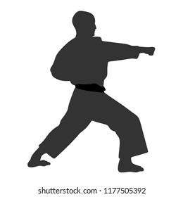 Karate, silhouette on white background