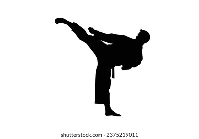 karate silhouette vector. Boxing and competition silhouettes vector image, Boxing black white.