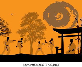 Karate in the sunset background, vector illustration