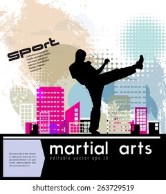 Karate. Vector illustration