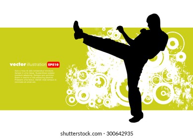 Karate warrior, vector