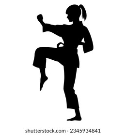 Karate woman in action silhouette. Vector illustration