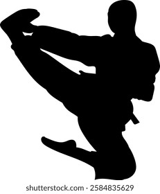 karateka jumping silhouette on white background vector