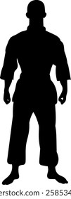 karateka silhouette on white background vector