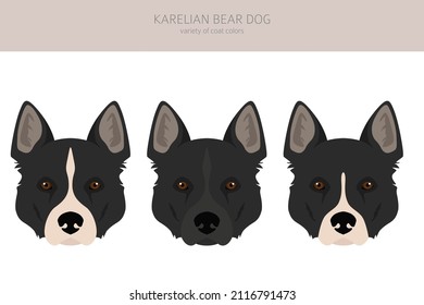 Karelian bear dog clipart. Different poses, coat colors set.  Vector illustration