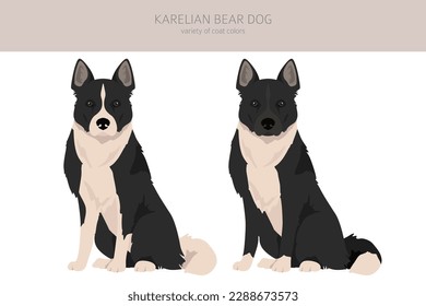 Karelian bear dog clipart. Different poses, coat colors set.  Vector illustration