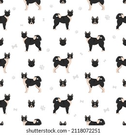 Karelian bear dog seamless pattern. Different poses, coat colors set.  Vector illustration