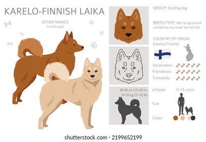 Karelo-Finnish laika  clipart. Different coat colors set.  Vector illustration