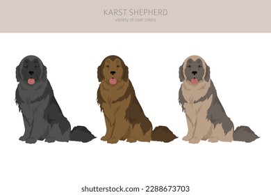 Karst shepherd dog clipart. Different coat colors set.  Vector illustration