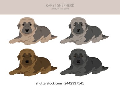 Karst shepherd dog puppy clipart. Different coat colors set.  Vector illustration