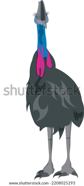 kasuari or cassowary bird in adobe illustrator\
eps download