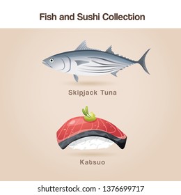 Katsuo Sushi : Fish and sushi set : Vector Illustration