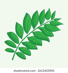 Katuk Plants Flat Design Cartoon Illustration