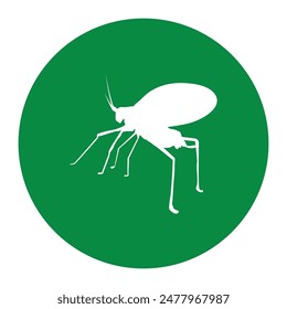 katydid grasshopper icon illustration design