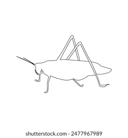 katydid grasshopper icon illustration design