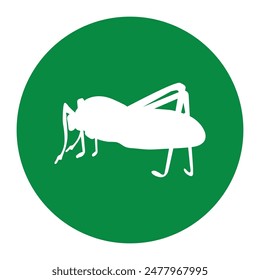 katydid grasshopper icon illustration design