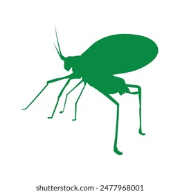 katydid grasshopper icon illustration design