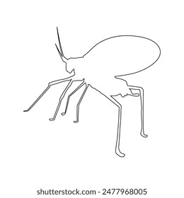 katydid grasshopper icon illustration design