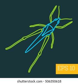 katydid locust linear vector illustration. insect outline icon.