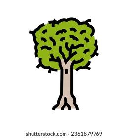vector de icono de color de la amazona de la jungla kauri. signo de la amazonía de la jungla kauri. ilustración de símbolo aislado