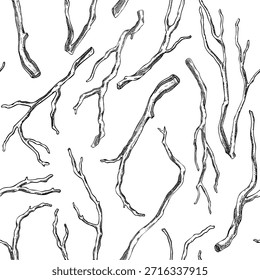 Kava Kava roots seamless pattern. Apothecary plant dsketch. Herbal remedies, medicinal plants, natural medicine hand-drawn vector illustration. NOT AI generated