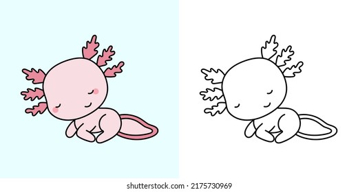 Kawaii Axolotl Clipart Multicolored and Black and White. Cute Kawaii Axolotl. Vector Illustration of a Kawaii Animal for Stickers, Prints for Clothes, Baby Shower, Coloring Pages. 