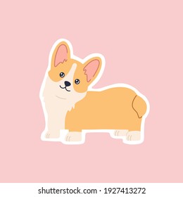 Kawaii breed corgi standing sticker, funny little dog, cute smiling face. Adorable friendly puppy character. Hand drawn trendy modern illustration in flat cartoon style, isolated on pink background.