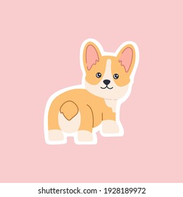 Kawaii breed corgi standing sticker, funny little dog, cute face and short tail. Friendly puppy character. Hand drawn trendy modern illustration in flat cartoon style, isolated on pink background