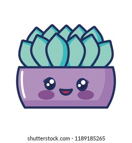 kawaii cactus in a pot