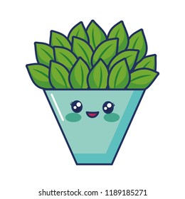 kawaii cactus in a pot